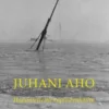 Aho, Hajamietteitä kapinaviikoilta