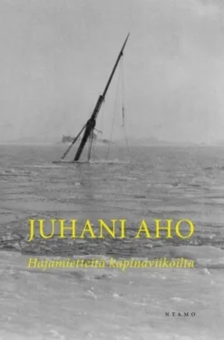 Aho, Hajamietteitä kapinaviikoilta