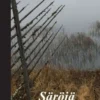 Ahonen, Säröjä