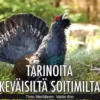Aho, Tarinoita keväisiltä soitimilta (cd)