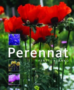 Alanko, Perennat