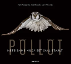 Alasaarela, Pöllöt - Metsiemme hiljaiset saalistajat