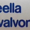 Alueella kameravalvonta 4x16 cm Wichelhaus