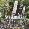 Anttila-Halinen, Syyskimikki juhlii