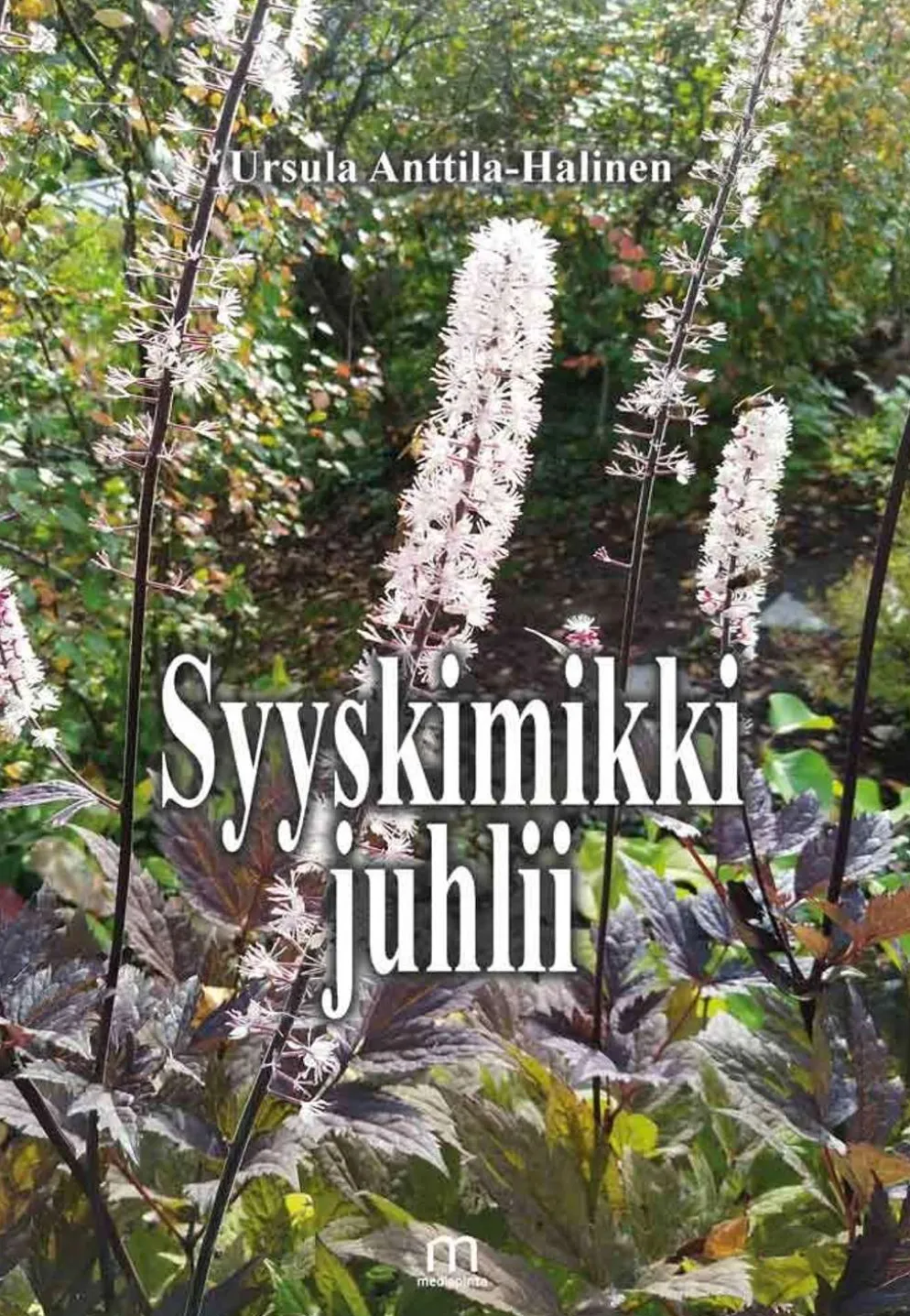 Anttila-Halinen, Syyskimikki juhlii