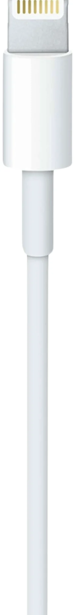 Apple USB-C to lightning 1m kaapeli MM0A3ZM/A