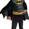 Batman asu viitalla ja naamarilla