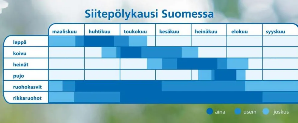 Biobe-allergeenisuodatin Biobe ThermoMax A/M 40 -tuloilmaikkunaventtiiliin ja karkeasuodantin ikkunan yläkarmiin puitevälissä, 1+1 kpl
