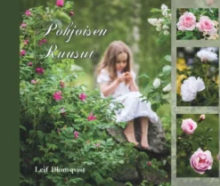 Blomqvist, Pohjoisen ruusut