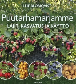 Blomqvist, Puutarhamarjamme - Lajit, kasvatus ja käyttö