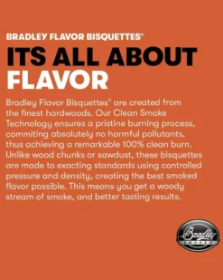 Bradley Smoker omenapuiset savustusbriketit 120 kpl