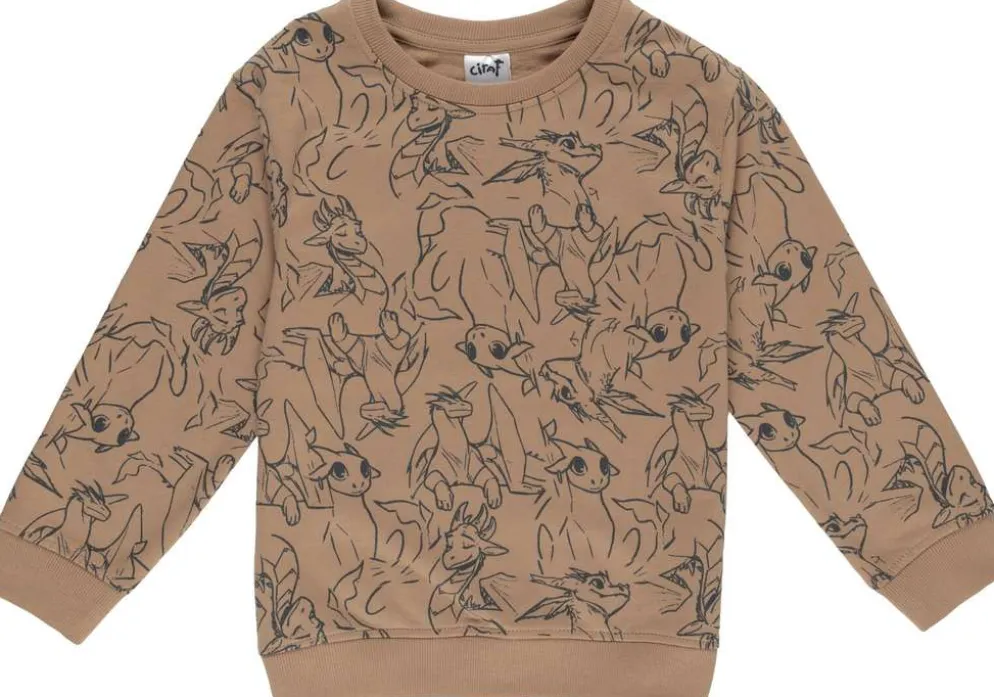 Ciraf lasten collegepusero fantacy 25PC262820