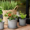 Cultivate alusvati 21 cm harmaa