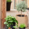 Cultivate istutusruukku 24 cm musta