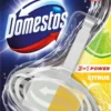 Domestos 3in1 Citrus fresh WC-raikastin 1x35g