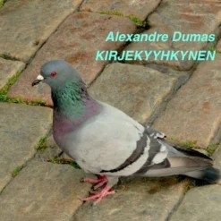 Dumas, Kirjekyyhkynen (mp3-cd)