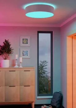 EGLO plafondi connect.z Romao-z LED 57 cm valkoinen/harmaa