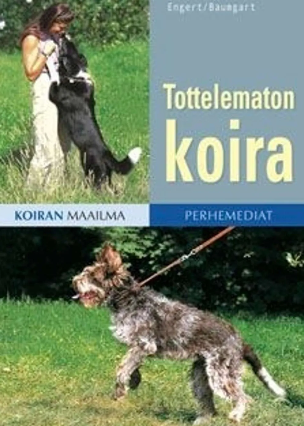Engert, Tottelematon koira