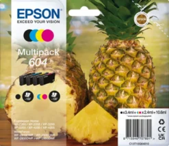 Epson mustepatruuna 604 multipack