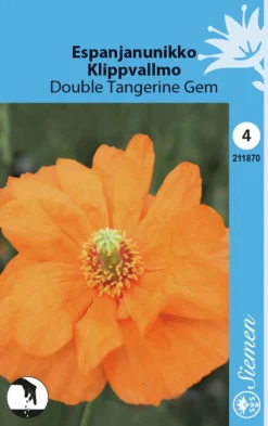 Espanjanunikko Double Tangerine Gem