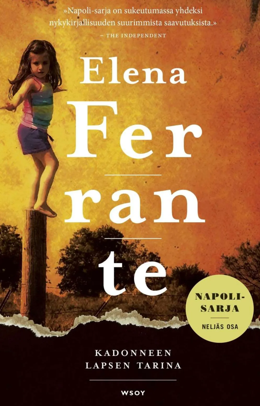 Ferrante, Kadonneen lapsen tarina