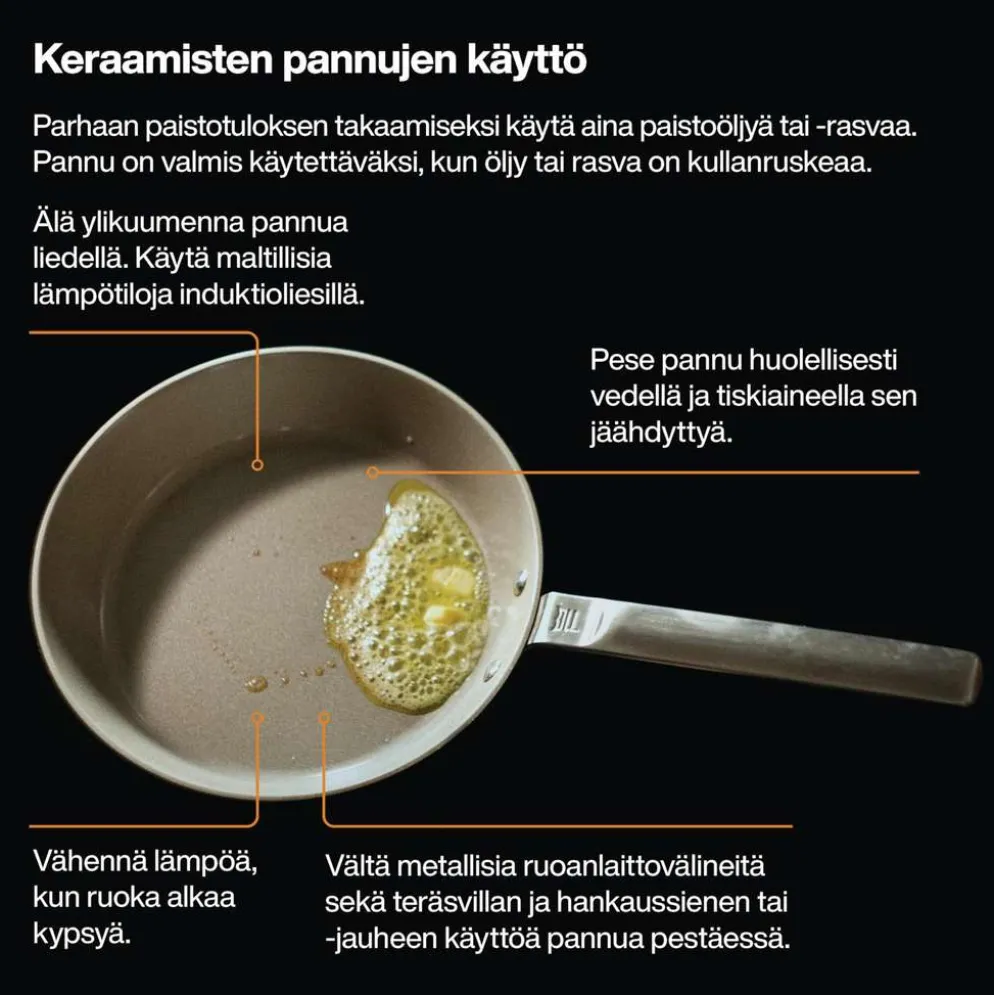 Fiskars Functional Form paistinpannu 20 cm