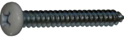 Fix Master listaruuvi PH2 valkoinen 4,2X13 sinkitty 10kpl