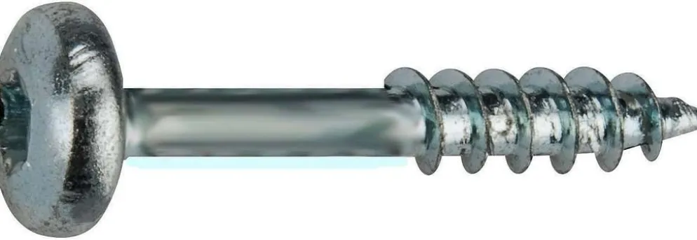 Fix Master yleisruuvi kupukanta osakierre 6X80 torx30 sinkitty 100kpl