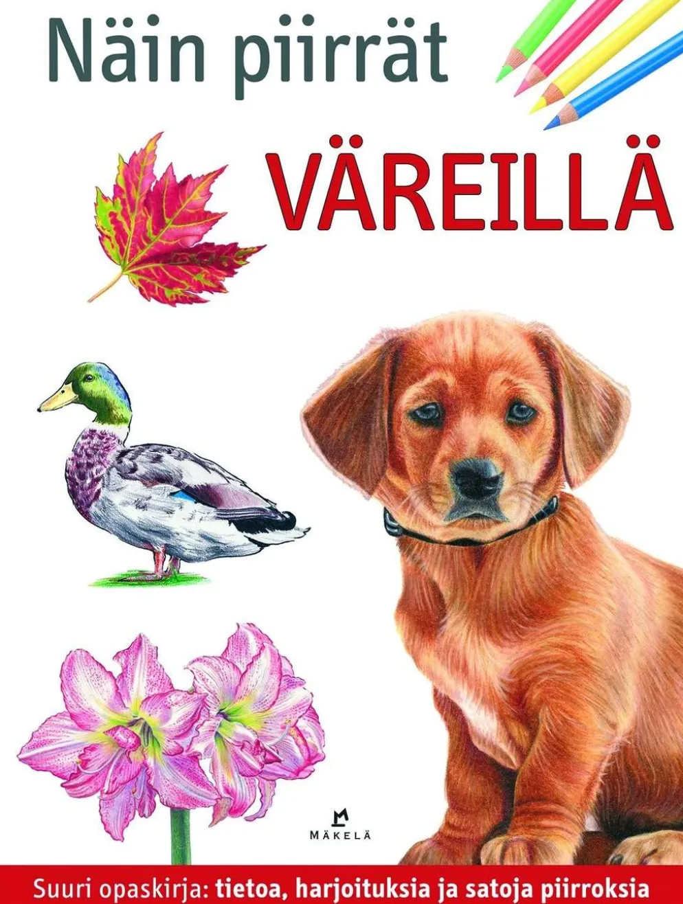 Foster, Näin piirrät väreillä
