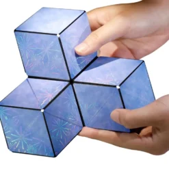 Fun in Motion Toys Shashibo Polar