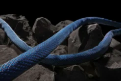 Gardena puutarhaletku Liano™Xtreme 30 m sarja