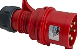 Gelia pistotulppa CP432-6