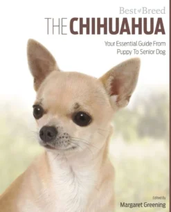 Greening, The Chihuahua - Your Essential Guide From Puppy to Senior Dog