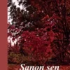 Heikkilä, Sanon sen ääneen