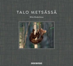 Honkalinna, Talo metsässä