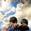 Hosseini, Leijapoika