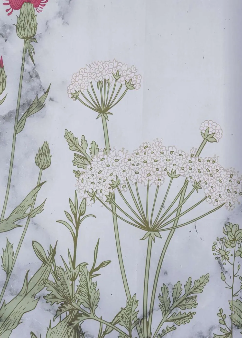 House suihkuverho Wild flowers 180x200 cm