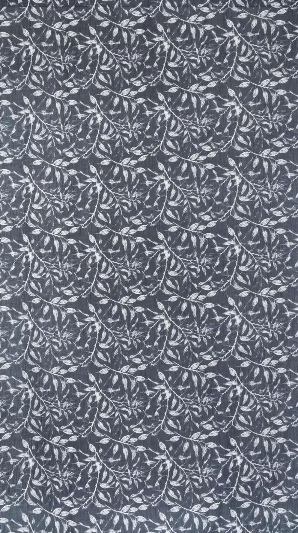 House verho Tara-köynnös 140x250 cm, musta