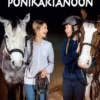 Ikonen, Paluu ponikartanoon