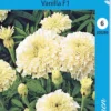 Isosamettikukka Vanilla F1