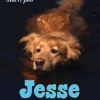 Jalo, Jesse merikoira