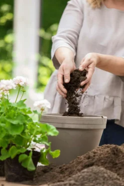 Kekkilä Pelargonimulta 15 l