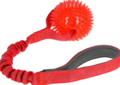 Kerbl vetolelu siilipallolla Ø 9 cm