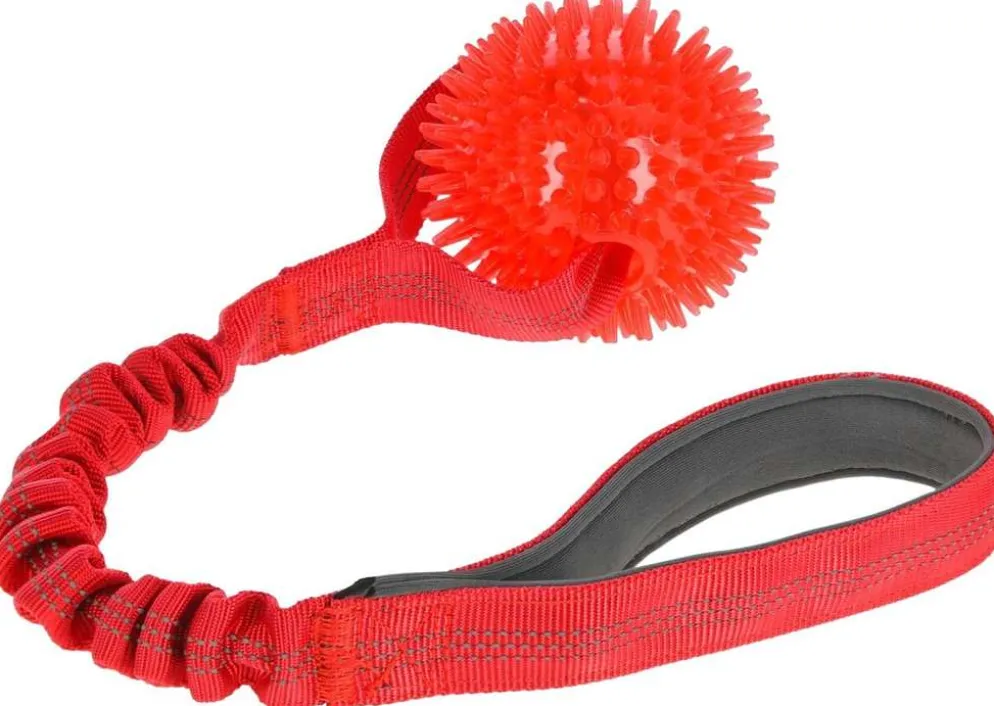 Kerbl vetolelu siilipallolla Ø 9 cm