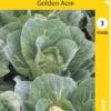Keräkaali 'Golden Acre'