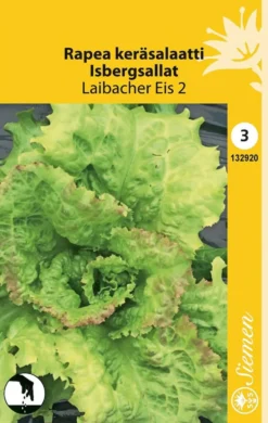 Keräsalaatti Rapea Laibacher Eis