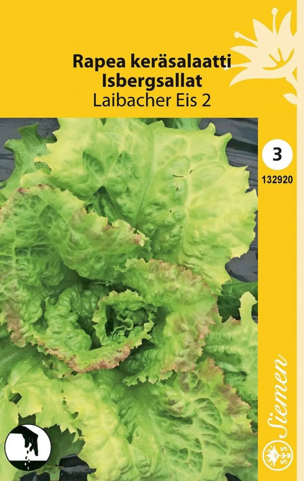 Keräsalaatti Rapea Laibacher Eis