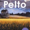 Kiviniemi, Pelto