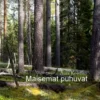 Koivisto, Maisemat puhuvat