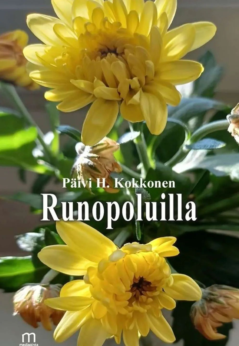 Kokkonen, Runopoluilla